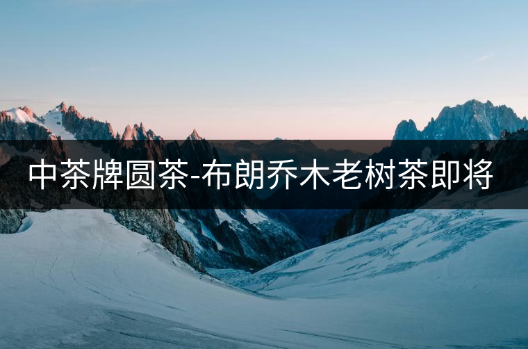 中茶牌圓茶-布朗喬木老樹(shù)茶即將上市 中茶牌圓茶-布朗喬木老樹(shù)茶即將上市