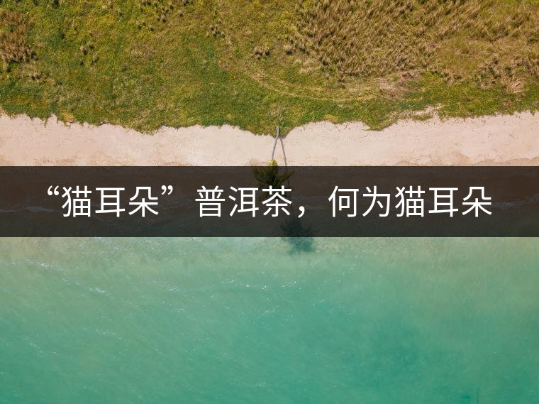 “貓耳朵”普洱茶，何為貓耳朵？
