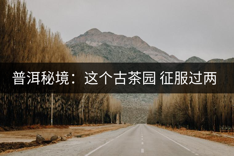 普洱秘境：這個古茶園 征服過兩任皇帝