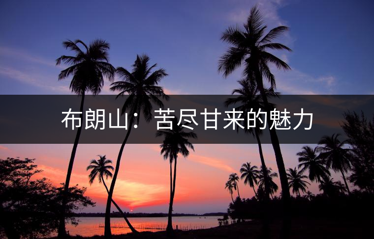 布朗山：苦盡甘來的魅力