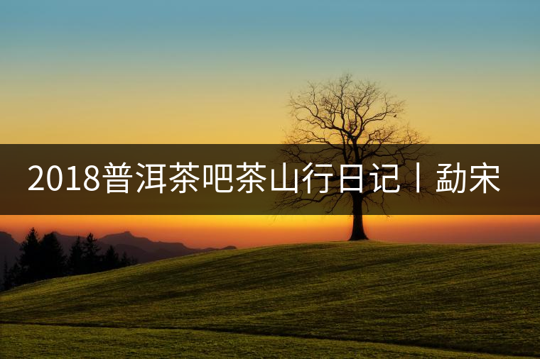 2018普洱茶吧茶山行日記丨勐宋那卡古茶園(二) 2018普洱茶吧茶山行日記丨勐宋那卡古茶園(二)