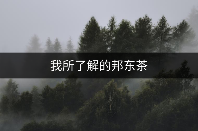 我所了解的邦東茶 我所了解的邦東茶