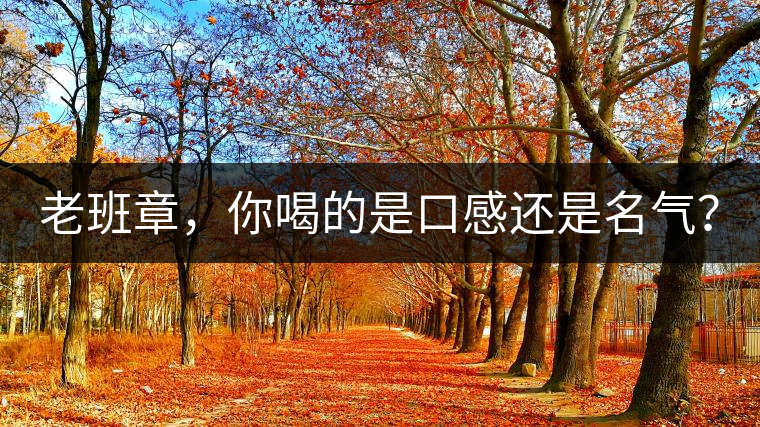 老班章，你喝的是口感還是名氣？