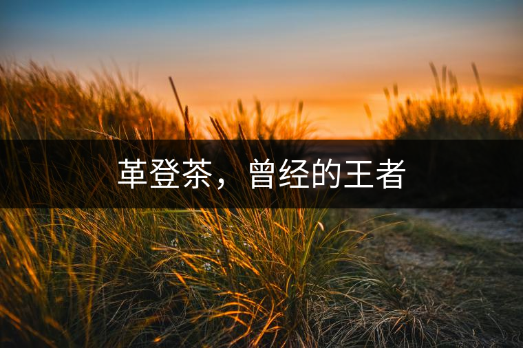 革登茶，曾經(jīng)的王者