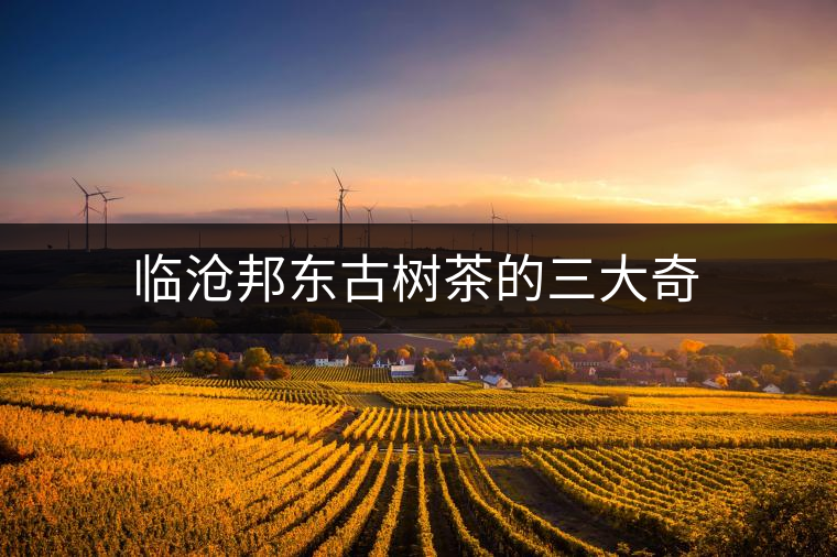 臨滄邦東古樹茶的三大奇