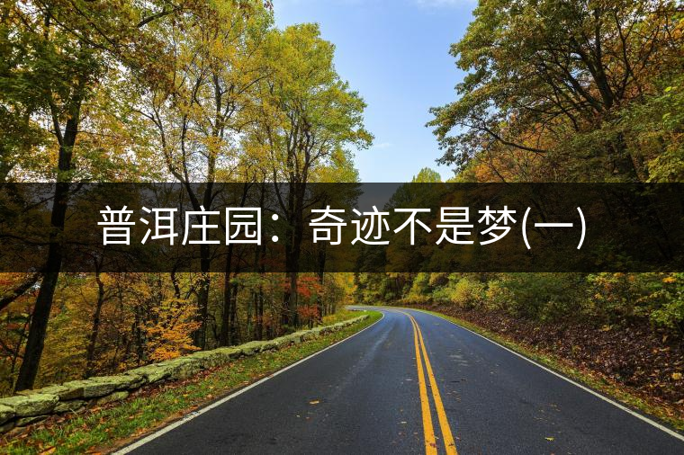 普洱莊園:奇跡不是夢(一) 普洱莊園:奇跡不是夢(一)