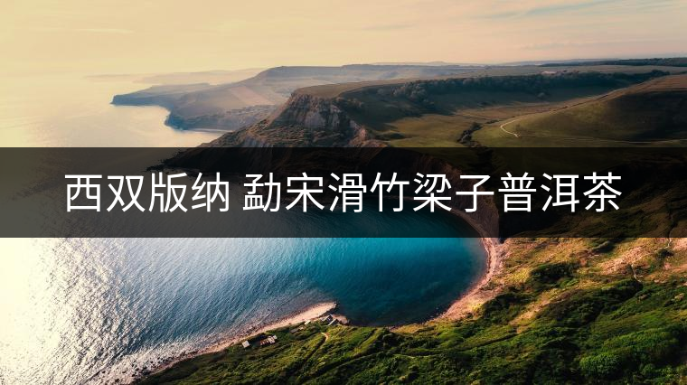 西雙版納 勐宋滑竹梁子普洱茶