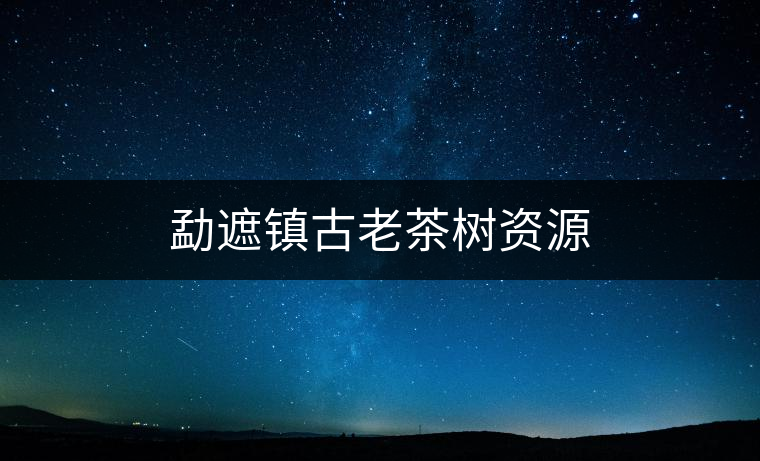 勐遮鎮(zhèn)古老茶樹(shù)資源