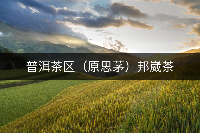 普洱茶區(qū)（原思茅）邦崴茶