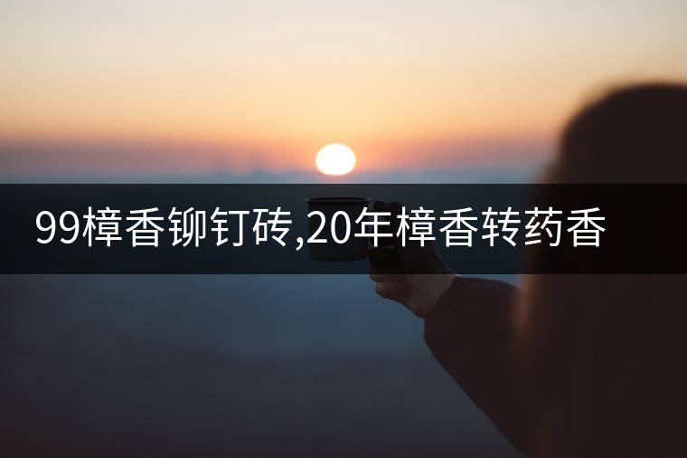99樟香鉚釘磚,20年樟香轉(zhuǎn)藥香老茶頭,厚重飽滿溫潤綿長,一款口感醇厚的老牌茶品! 99樟香鉚釘磚,20年樟香轉(zhuǎn)藥香老茶頭,厚重飽滿溫潤綿長,一款口感醇厚的老牌茶品!