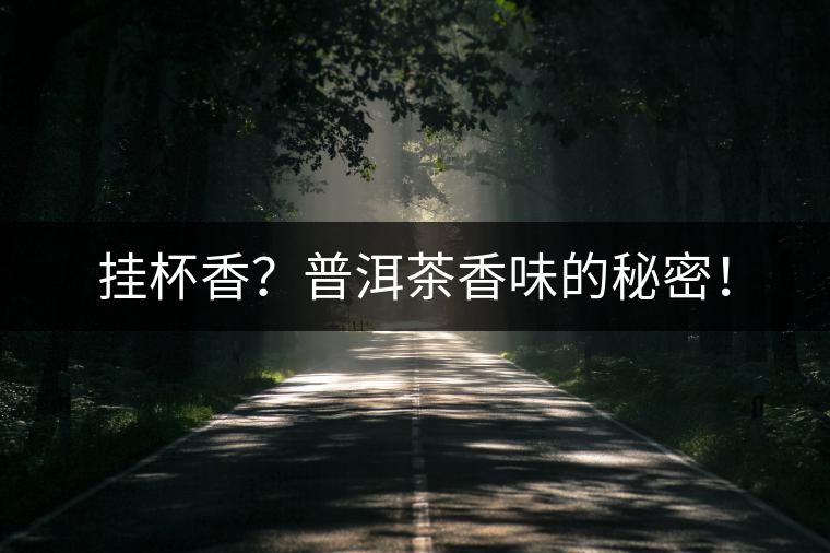 掛杯香？普洱茶香味的秘密！