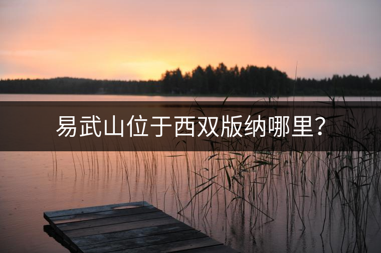 易武山位于西雙版納哪里？