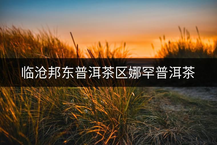 臨滄邦東普洱茶區(qū)娜罕普洱茶 臨滄邦東普洱茶區(qū)娜罕普洱茶