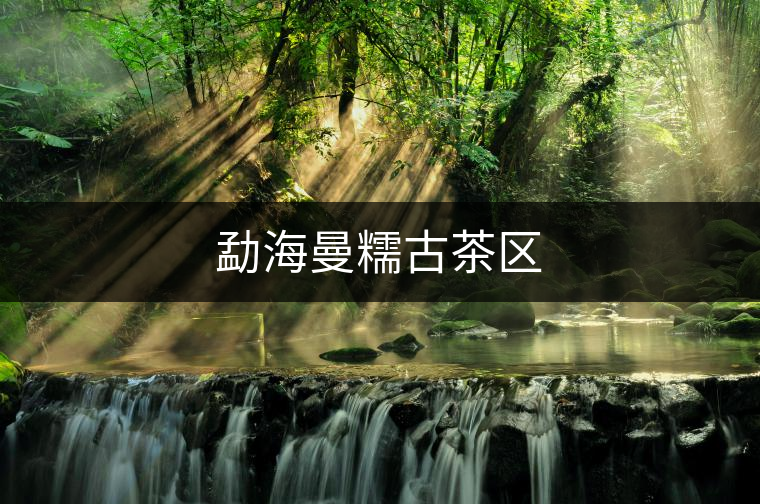 勐海曼糯古茶區(qū) 勐海曼糯古茶區(qū)