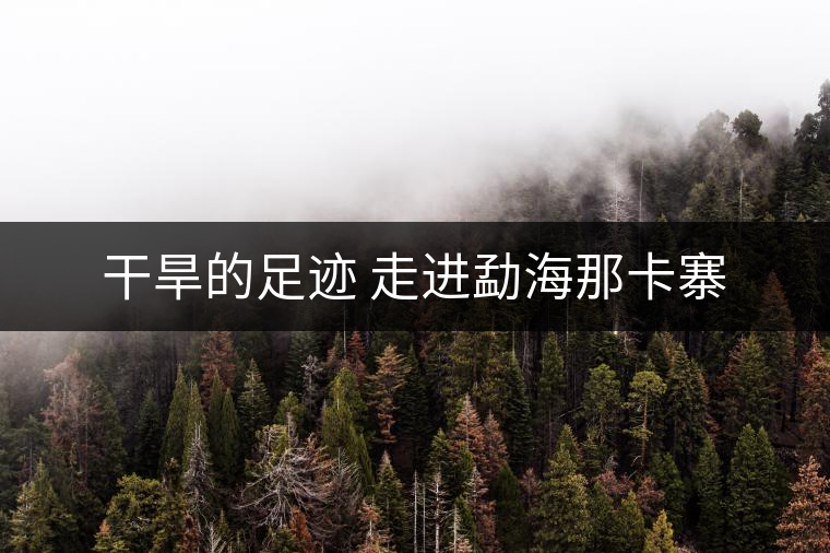 干旱的足跡 走進(jìn)勐海那卡寨 干旱的足跡 走進(jìn)勐海那卡寨