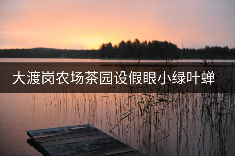 大渡崗農(nóng)場茶園設(shè)假眼小綠葉蟬調(diào)查監(jiān)測點 大渡崗農(nóng)場茶園設(shè)假眼小綠葉蟬調(diào)查監(jiān)測點