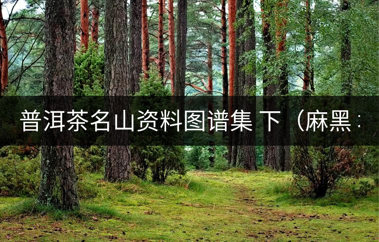 普洱茶名山資料圖譜集 下(麻黑 壩糯 落水洞 工藝) 普洱茶名山資料圖譜集 下(麻黑 壩糯 落水洞 工藝)