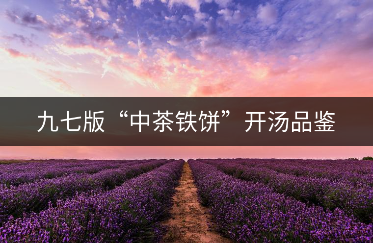 九七版“中茶鐵餅”開湯品鑒