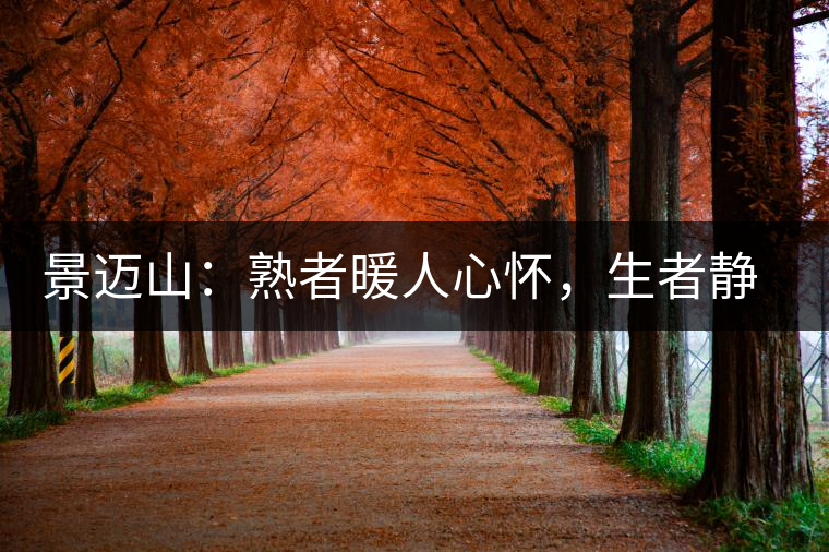 景邁山：熟者暖人心懷，生者靜品歲月
