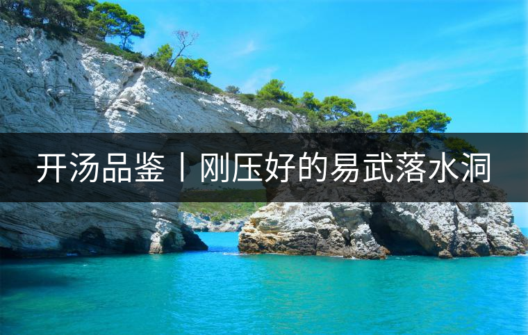 開(kāi)湯品鑒丨剛壓好的易武落水洞 開(kāi)湯品鑒丨剛壓好的易武落水洞