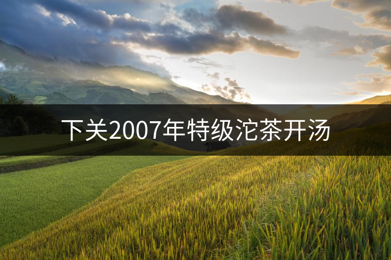 下關(guān)2007年特級(jí)沱茶開(kāi)湯 下關(guān)2007年特級(jí)沱茶開(kāi)湯