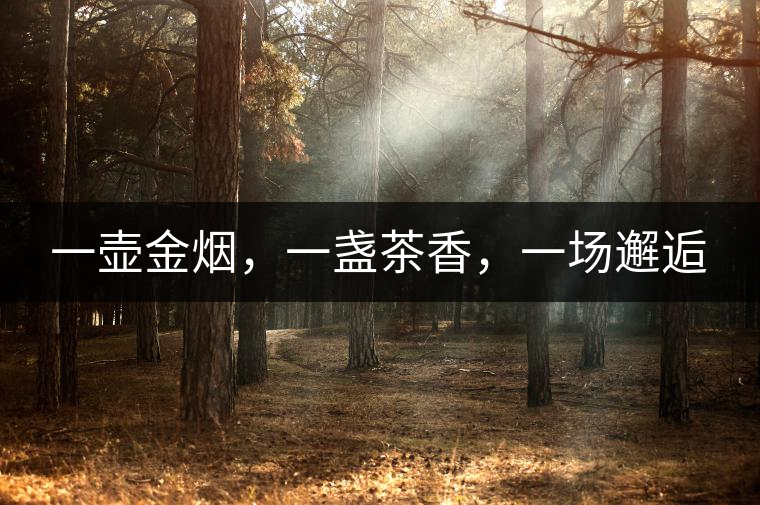 一壺金煙，一盞茶香，一場邂逅