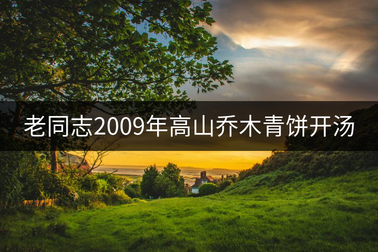 老同志2009年高山喬木青餅開湯 老同志2009年高山喬木青餅開湯