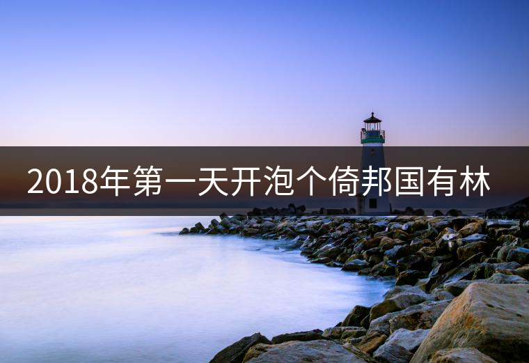 2018年第一天開泡個(gè)倚邦國有林！