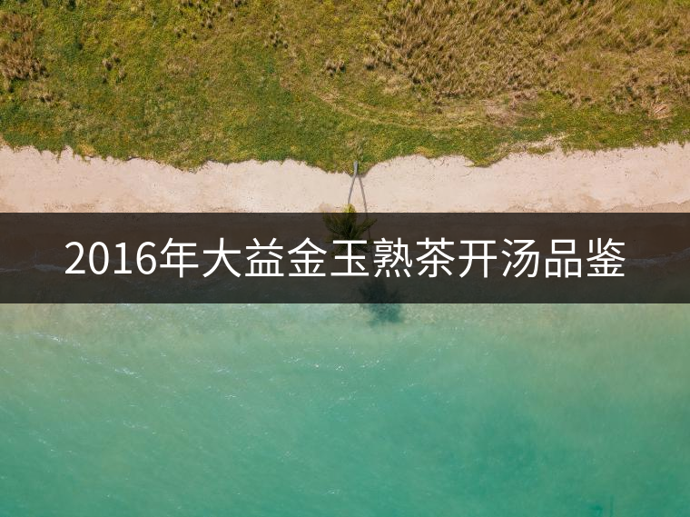 2016年大益金玉熟茶開湯品鑒 2016年大益金玉熟茶開湯品鑒