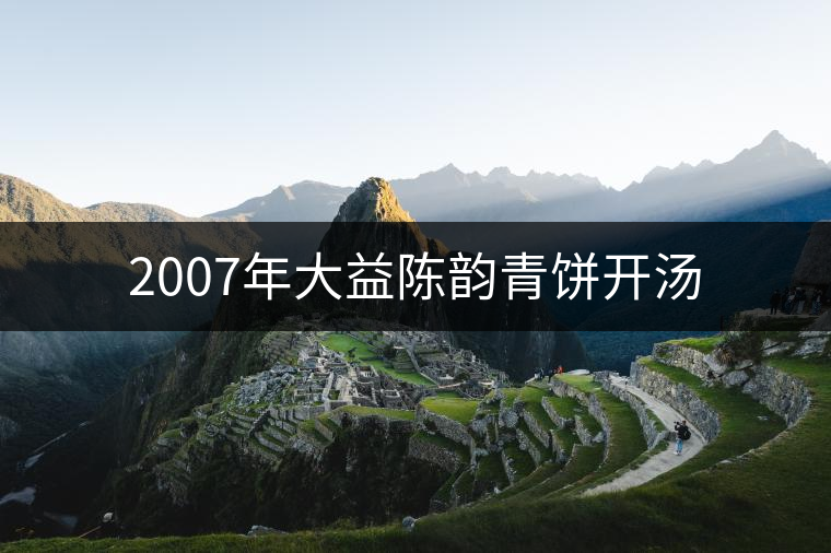 2007年大益陳韻青餅開湯