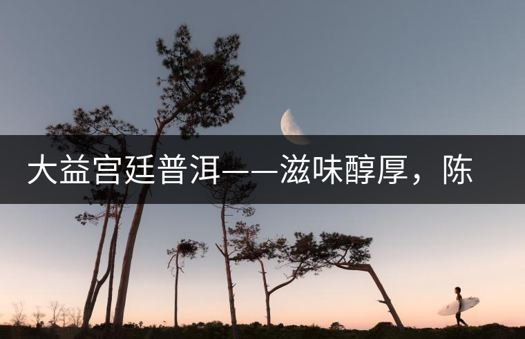 大益宮廷普洱——滋味醇厚，陳香濃郁