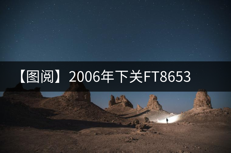 【圖閱】2006年下關FT8653鐵餅開湯 【圖閱】2006年下關FT8653鐵餅開湯
