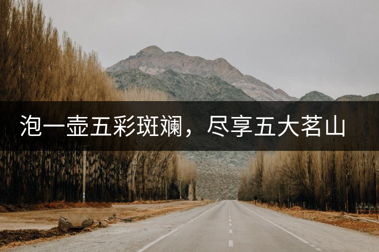 泡一壺五彩斑斕，盡享五大茗山之味