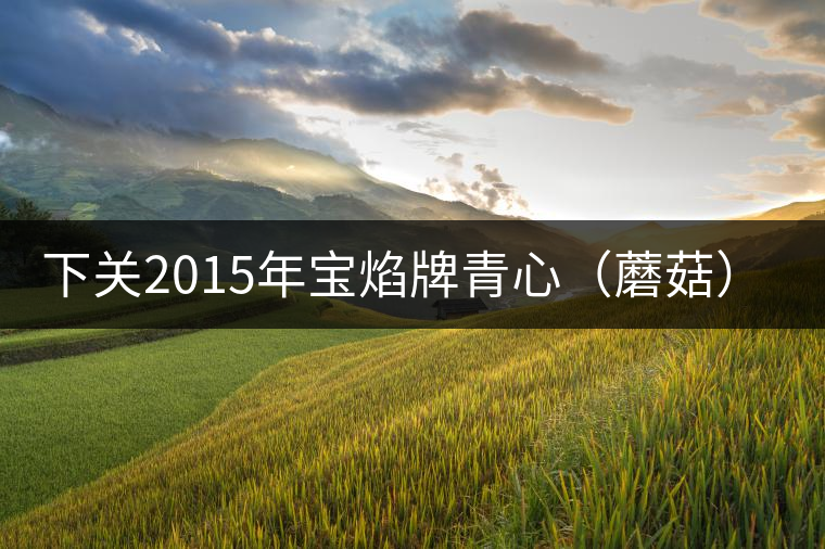 下關(guān)2015年寶焰牌青心(蘑菇)沱品鑒 下關(guān)2015年寶焰牌青心(蘑菇)沱品鑒