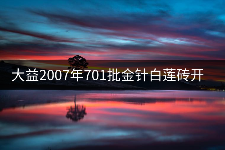 大益2007年701批金針白蓮磚開湯品鑒
