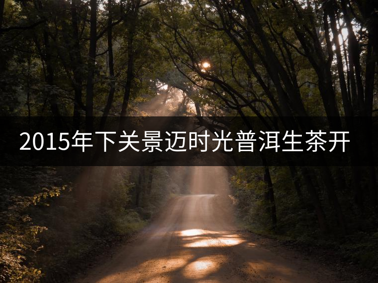 2015年下關(guān)景邁時光普洱生茶開湯品鑒 2015年下關(guān)景邁時光普洱生茶開湯品鑒