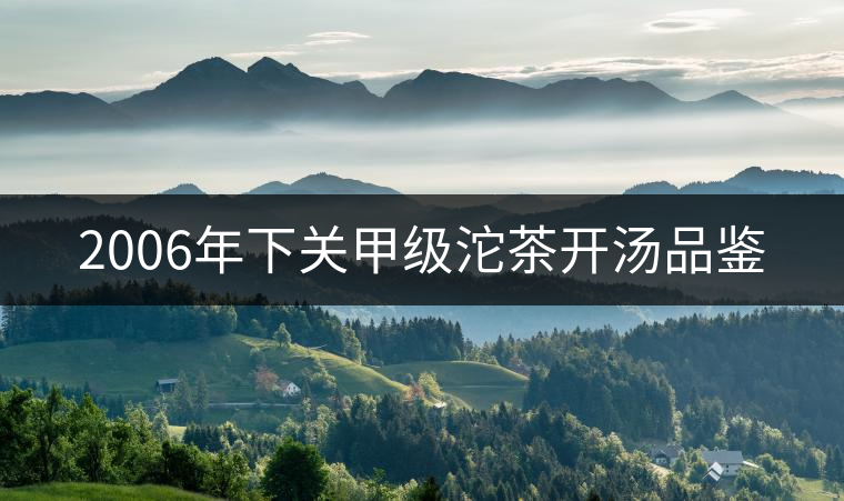 2006年下關(guān)甲級(jí)沱茶開湯品鑒 2006年下關(guān)甲級(jí)沱茶開湯品鑒