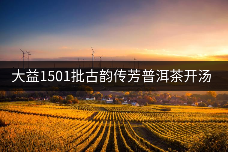 大益1501批古韻傳芳普洱茶開(kāi)湯品鑒