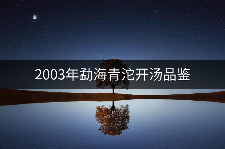 2003年勐海青沱開(kāi)湯品鑒 2003年勐海青沱開(kāi)湯品鑒