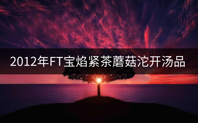 2012年FT寶焰緊茶蘑菇沱開湯品鑒