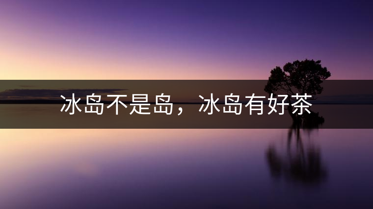 冰島不是島，冰島有好茶