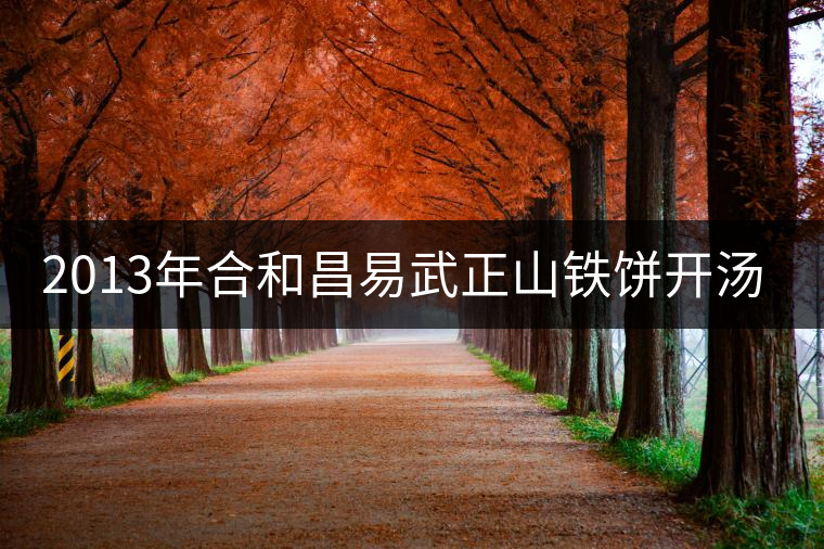 2013年合和昌易武正山鐵餅開湯品鑒 2013年合和昌易武正山鐵餅開湯品鑒