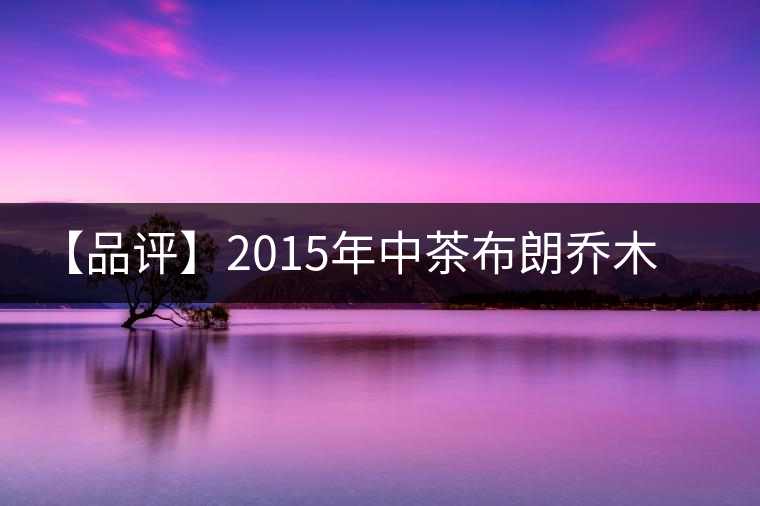 【品評(píng)】2015年中茶布朗喬木老樹茶