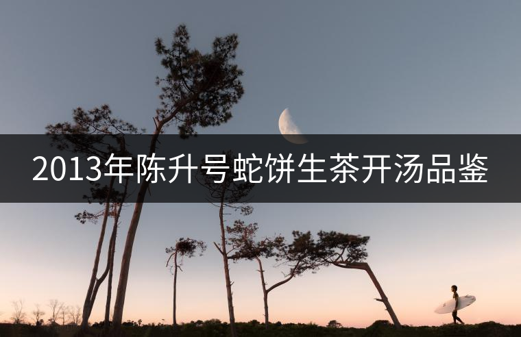 2013年陳升號(hào)蛇餅生茶開湯品鑒 2013年陳升號(hào)蛇餅生茶開湯品鑒