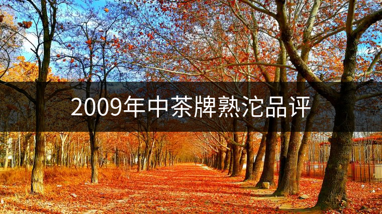 2009年中茶牌熟沱品評 2009年中茶牌熟沱品評
