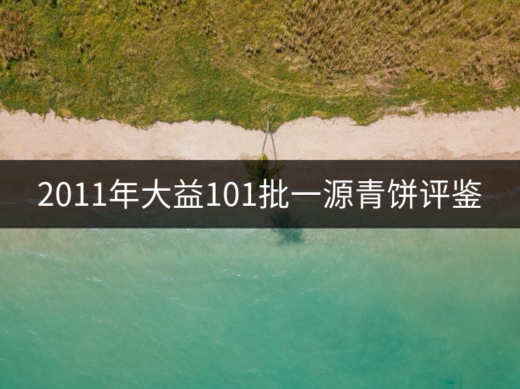 2011年大益101批一源青餅評(píng)鑒