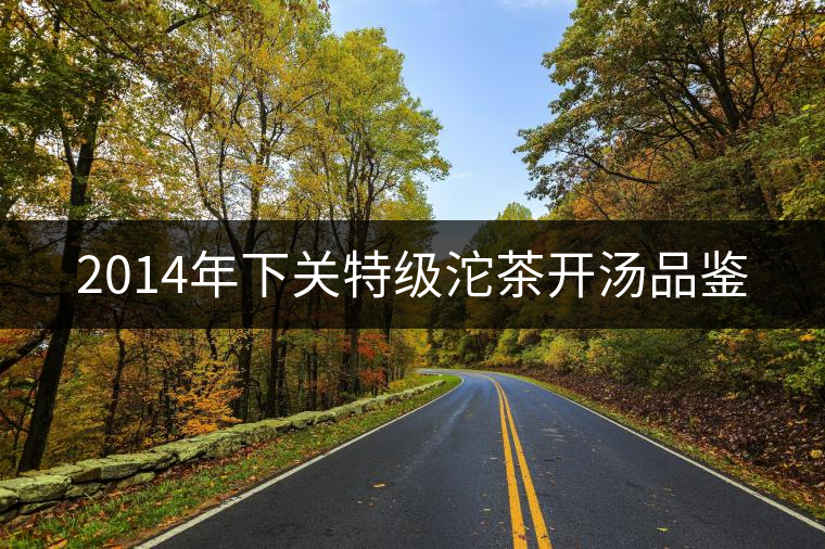 2014年下關特級沱茶開湯品鑒 2014年下關特級沱茶開湯品鑒