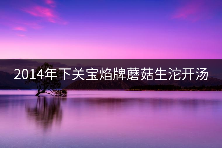 2014年下關(guān)寶焰牌蘑菇生沱開湯