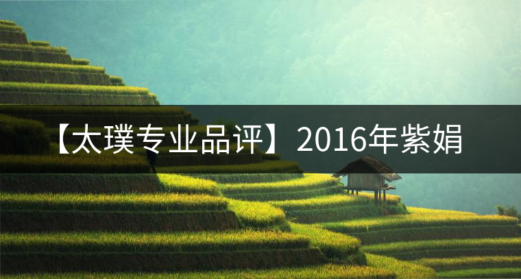 【太璞專業(yè)品評】2016年紫娟 【太璞專業(yè)品評】2016年紫娟