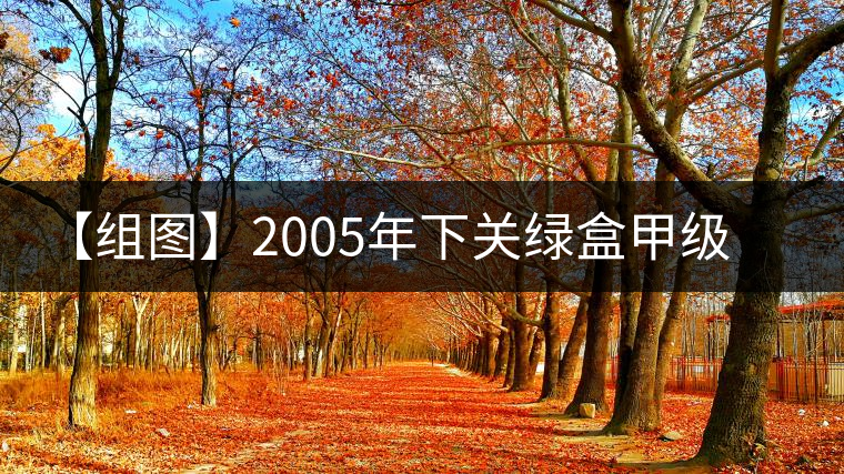 【組圖】2005年下關(guān)綠盒甲級(jí)沱開湯 【組圖】2005年下關(guān)綠盒甲級(jí)沱開湯
